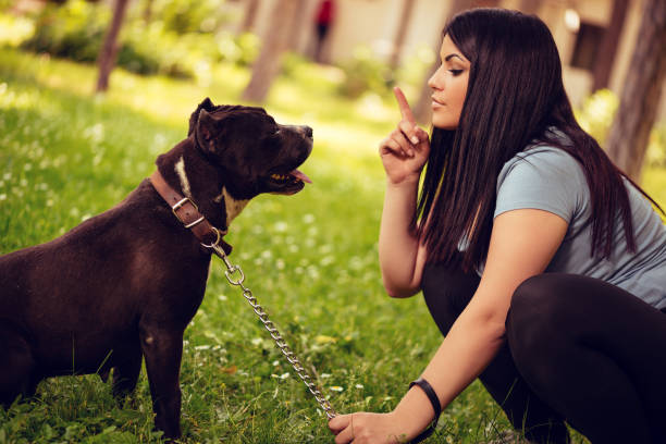 istock Girl With Dog 1489431661