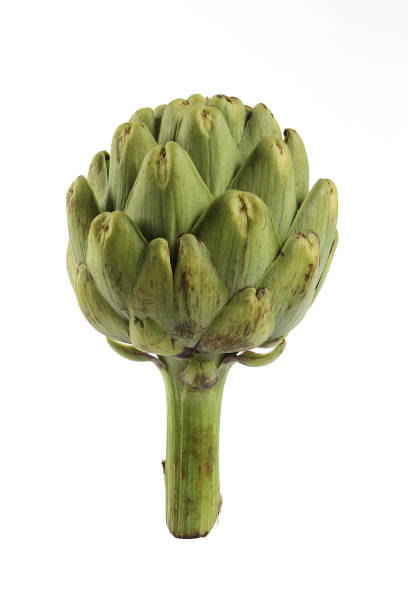 istock Artichoke on white background seamless 1489431923
