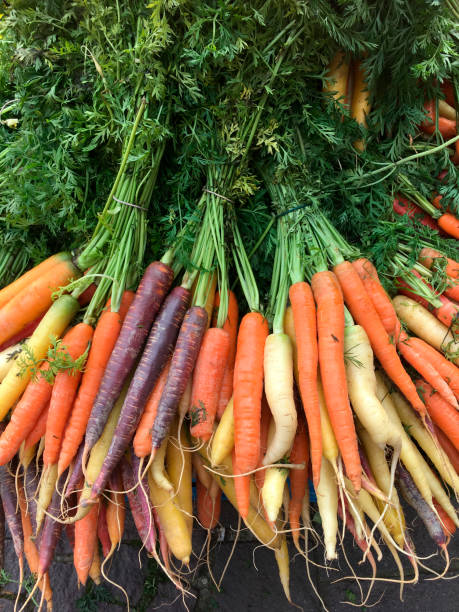 istock Freshly picked organic carrots 1489436148