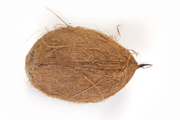 istock Whole Coconut on white background 1489440602