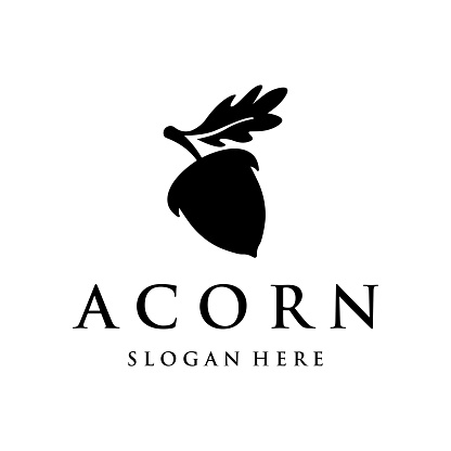 Acorn logo design with leaves with vector illustration editing.