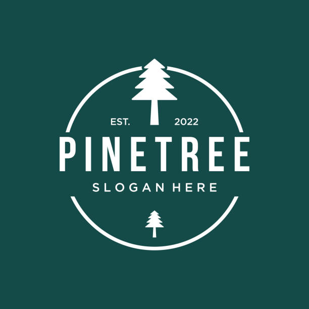 ilustrações, clipart, desenhos animados e ícones de pinheiro, evergreen e montanha vintage logo design. logomarca para aventureiro, camping, natureza, crachá e negócios. - pine tree forest summer evergreen tree