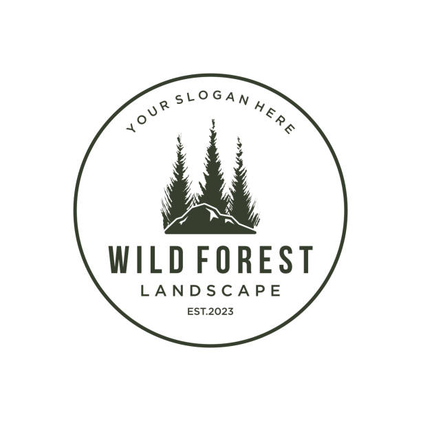 ilustrações, clipart, desenhos animados e ícones de pinheiro, evergreen e montanha vintage logo design. logomarca para aventureiro, camping, natureza, crachá e negócios. - pine tree forest summer evergreen tree