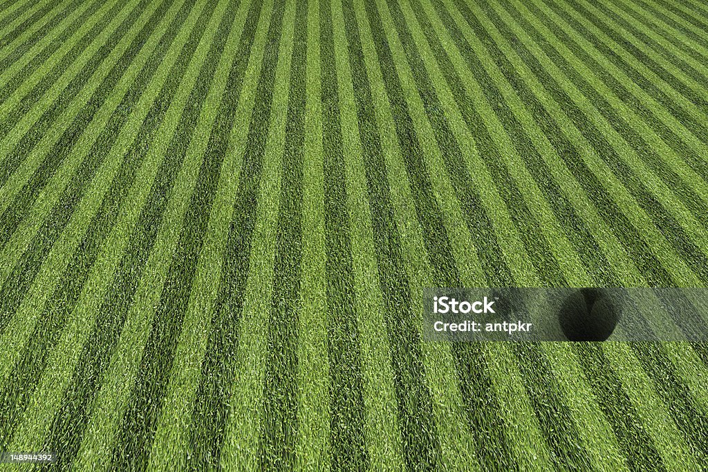 ball field grass at the ball field Baseball Diamond Stock Photo