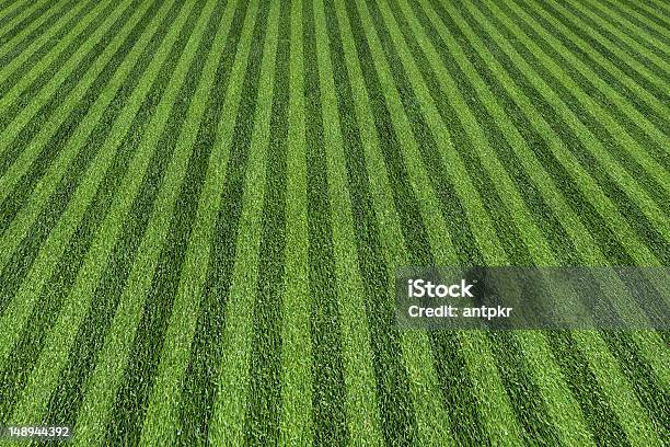 Ball Field Stock Photo - Download Image Now - Baseball Diamond, Backgrounds, Grass