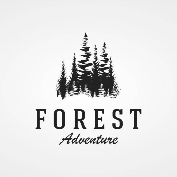 ilustrações, clipart, desenhos animados e ícones de pinheiro, evergreen e montanha vintage logo design. logomarca para aventureiro, camping, natureza, crachá e negócios. - pine tree forest summer evergreen tree