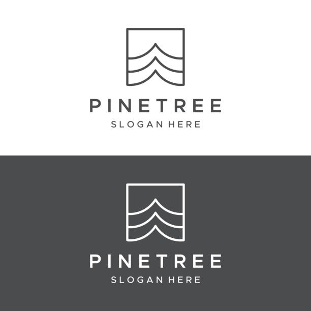 ilustrações, clipart, desenhos animados e ícones de pinheiro, evergreen e montanha vintage logo design. logomarca para aventureiro, camping, natureza, crachá e negócios. - pine tree forest summer evergreen tree