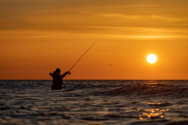 an angler in waterproof trousers is fishing in the Baltic Sea. He stands as a black silhouette in front of an orange, golden sunset in the background, in the sea of the Baltic Sea. an angler in waterproof trousers is fishing in the Baltic Sea. He stands as a black silhouette in front of an orange, golden sunset in the background, in the sea of the Baltic Sea. sea fishing stock pictures, royalty-free photos & images