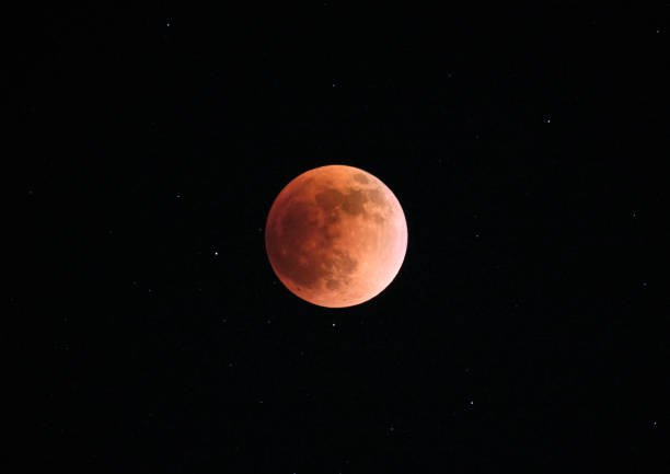 istock Red blood full Moon on black sky background. Supermoon lunar eclipse 1489453103