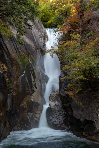 istock Senga Waterfall ( Sengataki ), A waterfall in Mitake Shosenkyo Gorge 1489454545