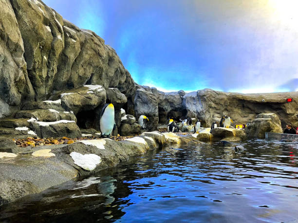 The Calgary Zoo in Alberta, Canada