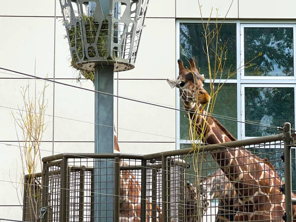 The Calgary Zoo in Alberta, Canada
