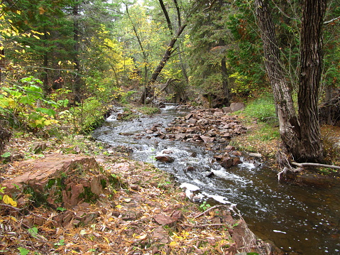 Hiking trail located inside the city of Duluth - Chester Creek neighborhood.