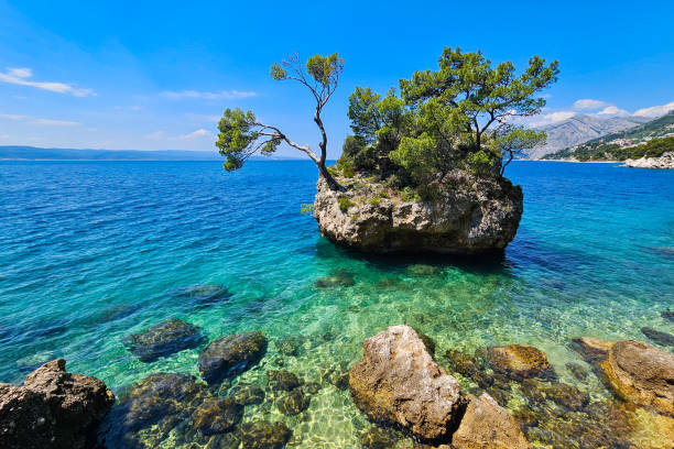 островок на пляже пунта-рата в бреле на макарской ривьере, хорватия - makarska riviera стоковые фото и изображения