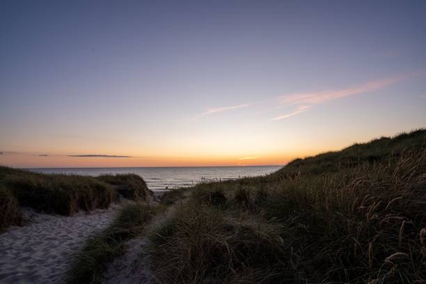 istock Scenic view of a path through a sandy beach covered with greenery at sunset 1489466795