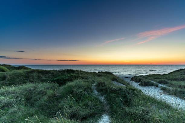 istock Scenic view of a path through a sandy beach covered with greenery at sunset 1489466799
