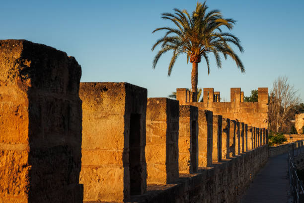 Fortification stone wall with palm tree in Alcudia during sunset. Famous old town in Mallorca, Spain. Travel destination