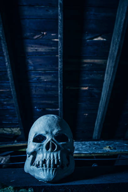 istock Spooky Skull in Abandoned Place 1489469060