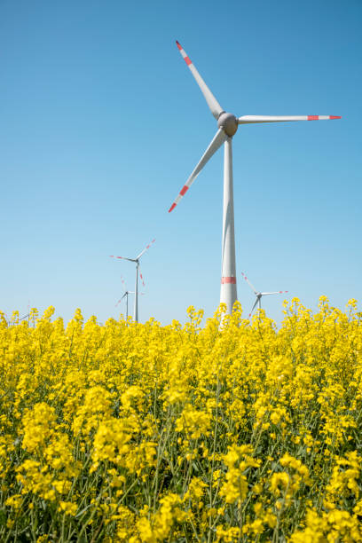 istock wind power turbines spring sun rapeseed field 1489469438
