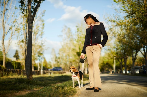 Unleashing Stress: Businesswoman Finds Calm by Walking Her Dog After Work