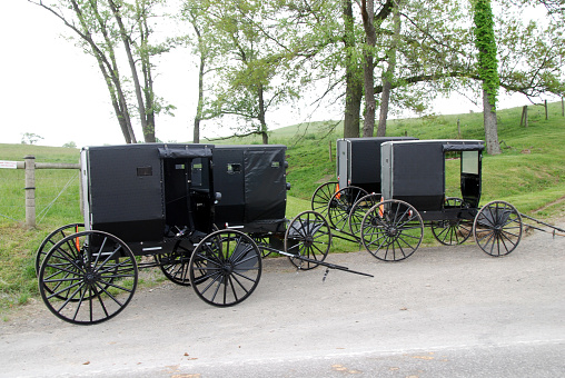 row of parking amish buggies under trees
