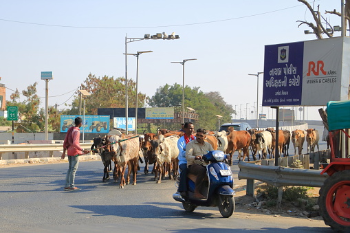 December 23 2022 - Vadodara (Baroda) district, Gujarat in India: Indian Traffic on dusty streets