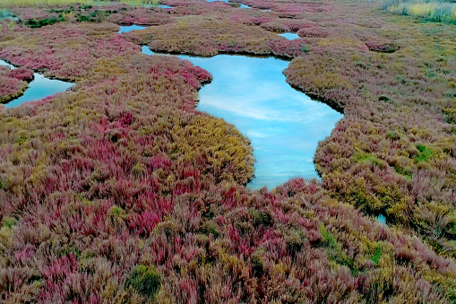 Beautiful landscape of the wetlands of the Peloponnese peninsula in Greece.