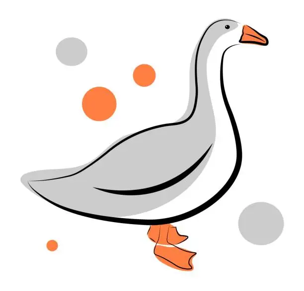 Vector illustration of Gray goose