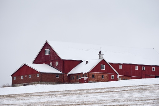 An idyllic winter scene of a traditional red barn situated on a snow-covered rural farm near a road in Toten, Norway