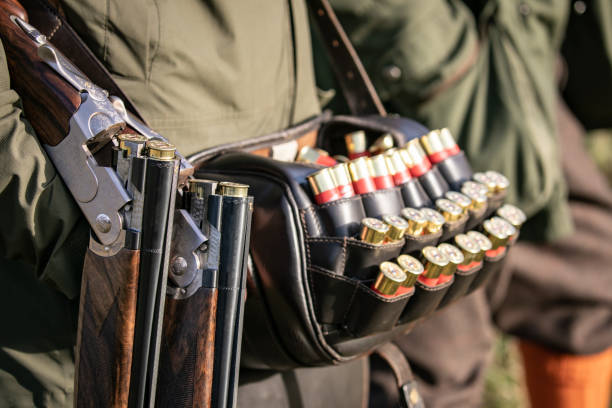 istock A gun 'loader' ejecting cartridges from a shotgun on a pheasant shoot on the estate at Woodstock, Oxfordshire. 1489479013