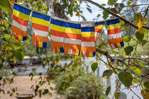 Buddhist rainbow flags hanging in a bodhi tree outside a temple in the central Sri Lanka