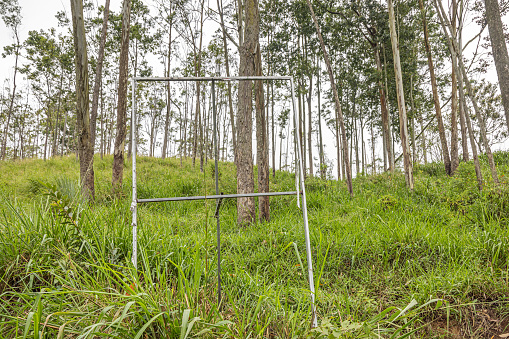 Completely empty billboard holder in lush surroundings in front of a deciduous forest