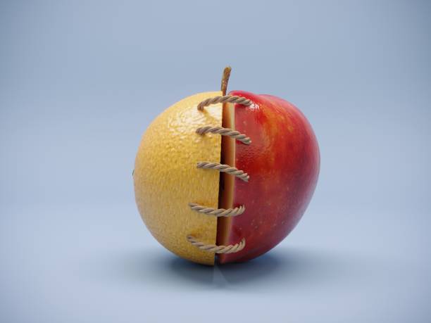 koncepcja zjednoczenia - apple fruit surreal bizarre zdjęcia i obrazy z banku zdjęć