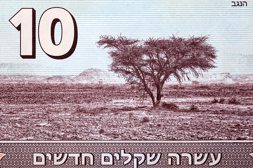 Negev desert from Israeli money - shekels