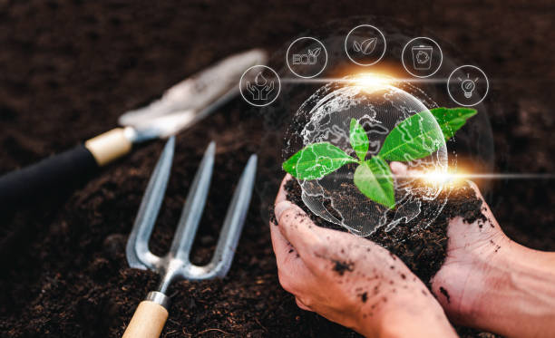 istock plant, nature, leaf, earth, eco, environmental, growing, global, ecosystem, grow, climate, ecologic. 1489486922