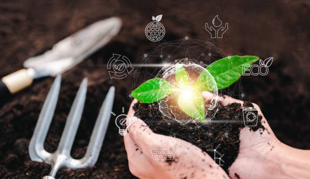 istock plant, nature, leaf, earth, grow, protection, eco, environmental, global, ecosystem. environment hud 1489486932
