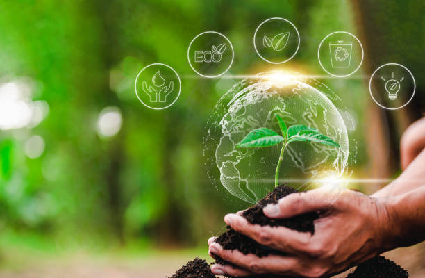 istock plant, nature, leaf, earth, eco, environmental, growing, global, ecosystem, grow, climate, ecologic. 1489486983