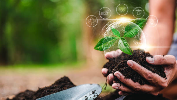 istock plant, nature, leaf, earth, eco, environmental, growing, global, ecosystem, grow, climate, ecologic. 1489486991