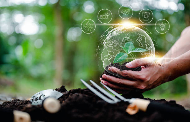 istock plant, nature, leaf, earth, eco, environmental, growing, global, ecosystem, grow, climate, ecologic. 1489487048
