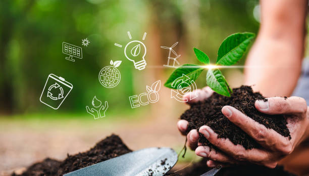 istock plant, nature, leaf, earth, eco, environmental, growing, global, ecosystem, grow, climate, ecologic. 1489487049