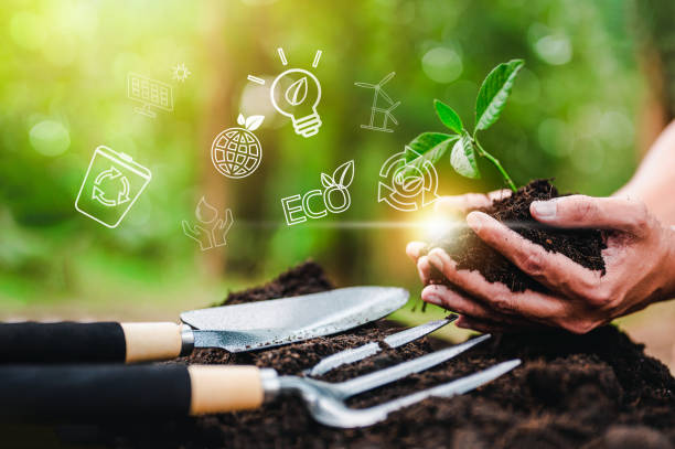 istock plant, nature, leaf, earth, eco, environmental, growing, global, ecosystem, grow, climate, ecologic. 1489487175