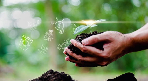 istock plant, nature, leaf, earth, eco, environmental, growing, global, ecosystem, grow, climate, ecologic. 1489487178