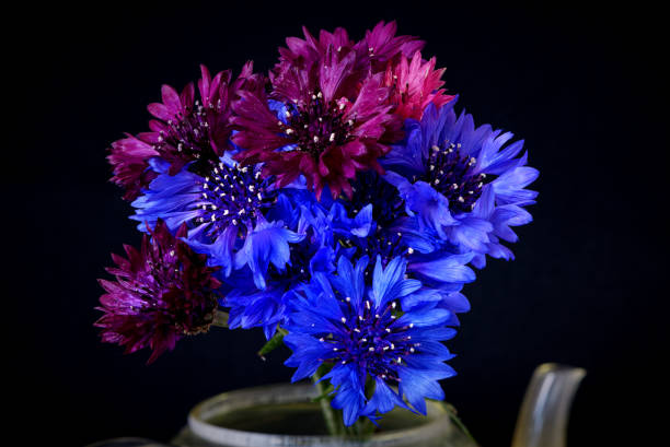 istock a bouquet of flowers grows on a black background 1489493584