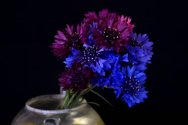 istock a bouquet of flowers grows on a black background 1489493588