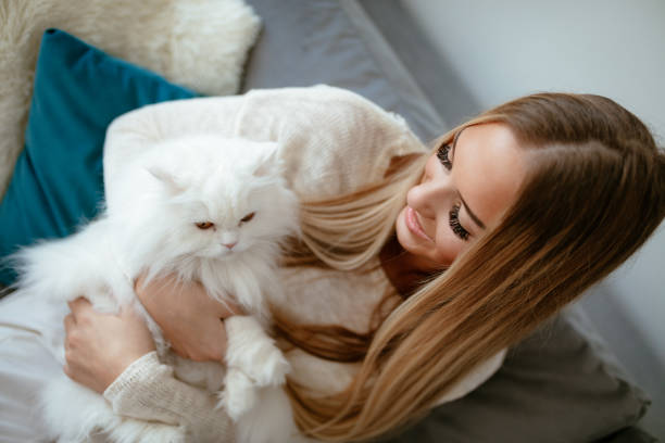 istock I Love My Cat 1489494653