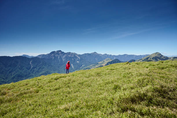 istock Hikers stand on top of a mountain looking at view. 1489496228
