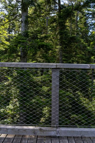 Chain-link fence against the background of lush greenery. The chain-link fence against the background of lush greenery. wood and wire fence designs pictures stock pictures, royalty-free photos & images