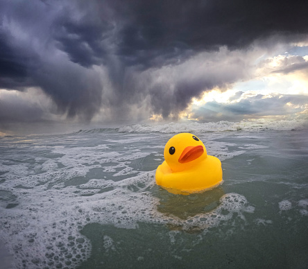 Yellow Rubber Ducky Floating in a Rough Sea