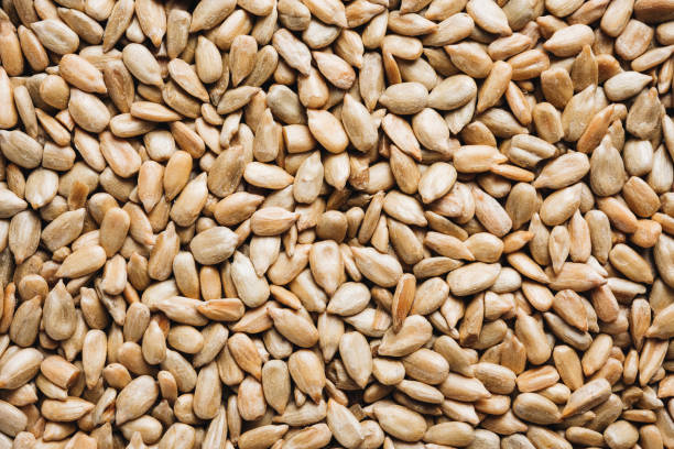 istock Peeled sunflower seeds. 1489499994