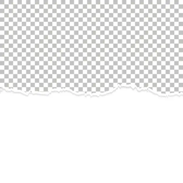 Vector illustration of Blank torn paper vector background
